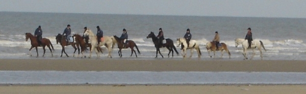 De Panne 5