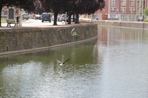 Kernuitstap 13 mei 2011 Dendermonde 016