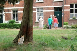 Kernuitstap 13 mei 2011 Dendermonde 187