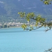 1-8 Lac du Castillon 7
