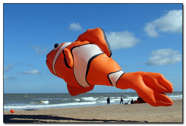 Lotto Kites International Oostende