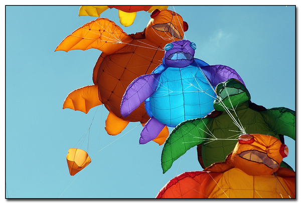 Kites International Oostende