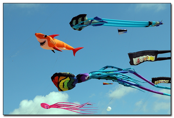 Kites
