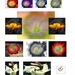 bloemenvariaties