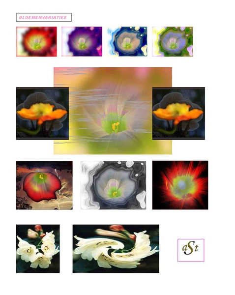 bloemenvariaties