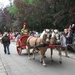 Grimbergen Sint-Servaas ommegang 2011 020