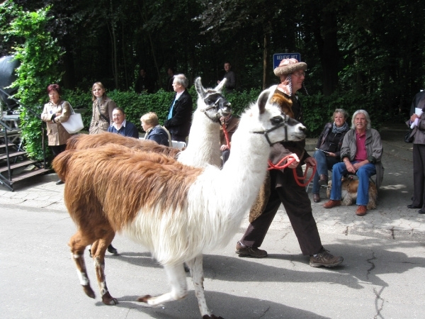 Grimbergen Sint-Servaas ommegang 2011 034