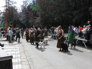 Grimbergen Sint-Servaas ommegang 2011 080