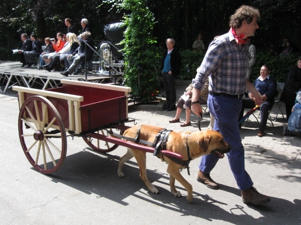 Grimbergen Sint-Servaas ommegang 2011 177