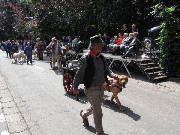 Grimbergen Sint-Servaas ommegang 2011 180