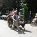 Grimbergen Sint-Servaas ommegang 2011 181