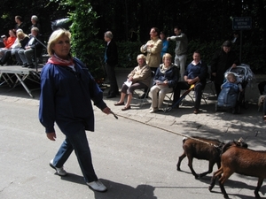 Grimbergen Sint-Servaas ommegang 2011 185