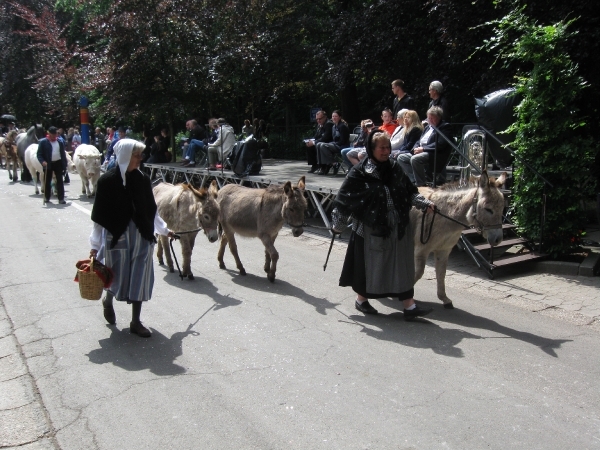 Grimbergen Sint-Servaas ommegang 2011 186