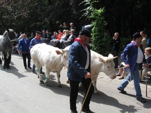 Grimbergen Sint-Servaas ommegang 2011 187