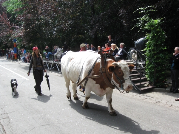 Grimbergen Sint-Servaas ommegang 2011 190