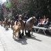 Grimbergen Sint-Servaas ommegang 2011 191