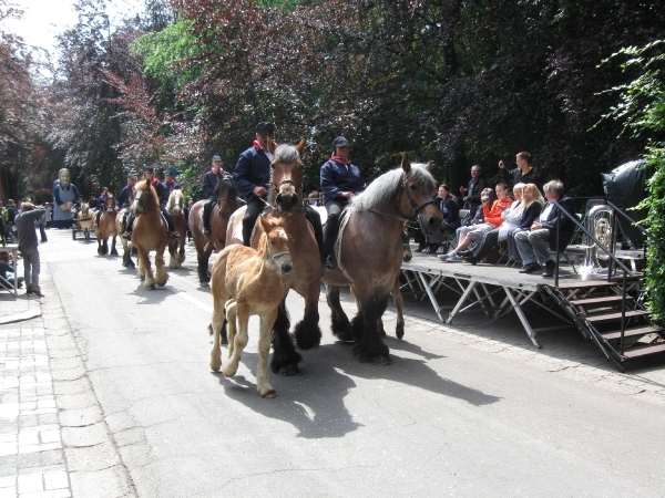 Grimbergen Sint-Servaas ommegang 2011 191