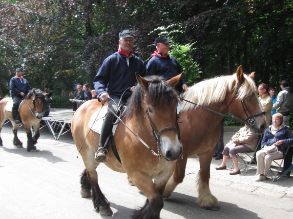 Grimbergen Sint-Servaas ommegang 2011 193