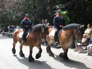 Grimbergen Sint-Servaas ommegang 2011 194