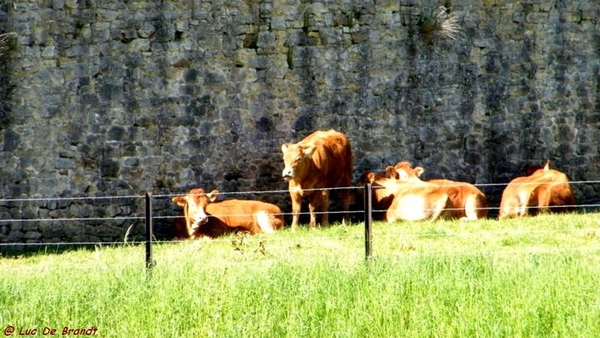 marche wandeling Dinant Ardennen