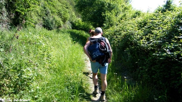 marche wandeling Dinant Ardennen