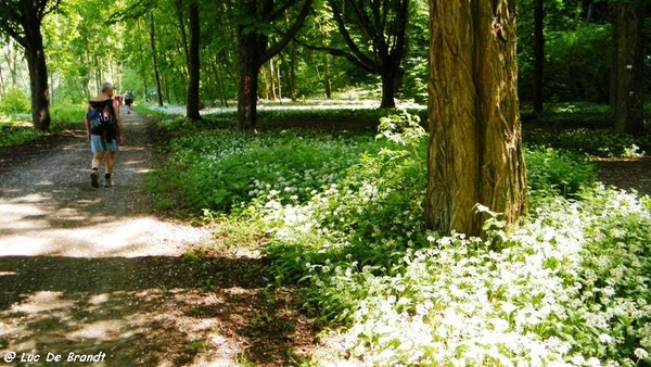 marche wandeling Dinant Ardennen