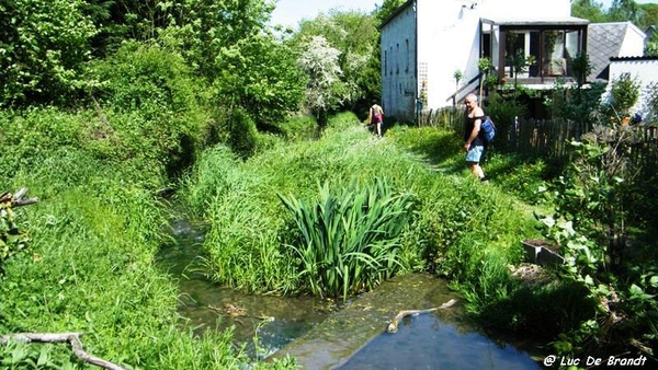 marche wandeling Dinant Ardennen