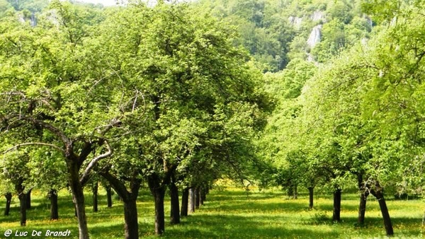 marche wandeling Dinant Ardennen