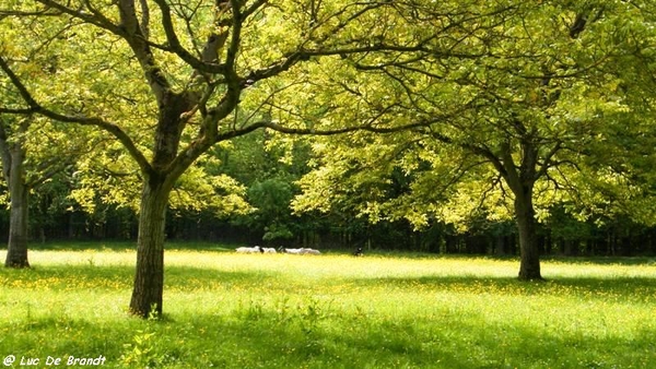 marche wandeling Dinant Ardennen