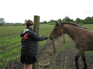 Fietsen Westuit Berlare 2011 121