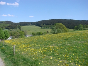 OBERHENNEBORN 059