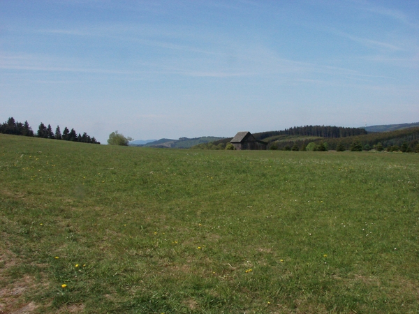 OBERHENNEBORN 236