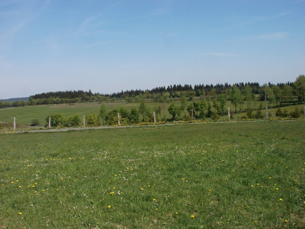 OBERHENNEBORN 238