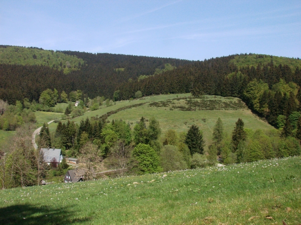 OBERHENNEBORN 260