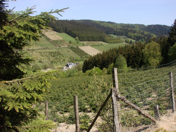 OBERHENNEBORN 265