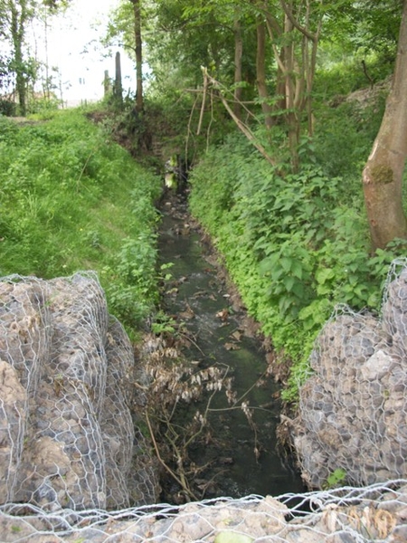 06-Groene land van Rhode-