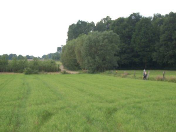 11-Groene land van Rhode