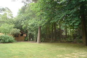 DSC01574