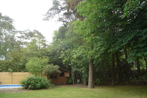 DSC01578