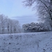 winter  2011 DSC00252