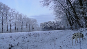 winter  2011 DSC00252