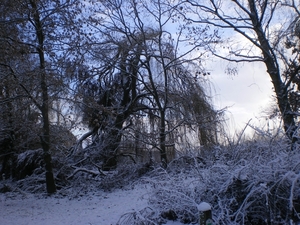 winter dec 2010 024