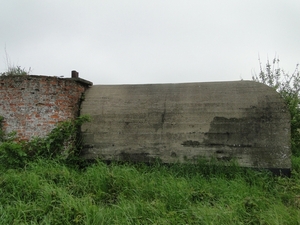 DSC00573