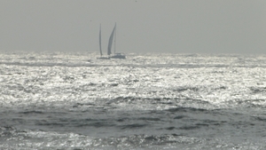 DSC00605