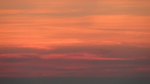 DSC00639