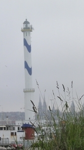 DSC00584