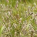 DSC05954