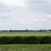 DSC05962