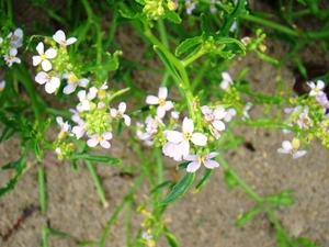 DSC01151