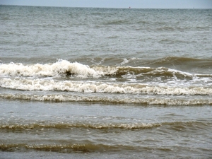 DSC01170